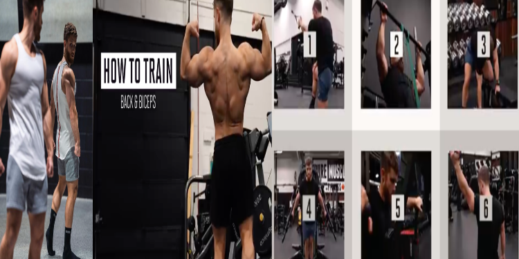 Jeff Nippard’s Science-Driven Ultimate Workout for Back and Biceps