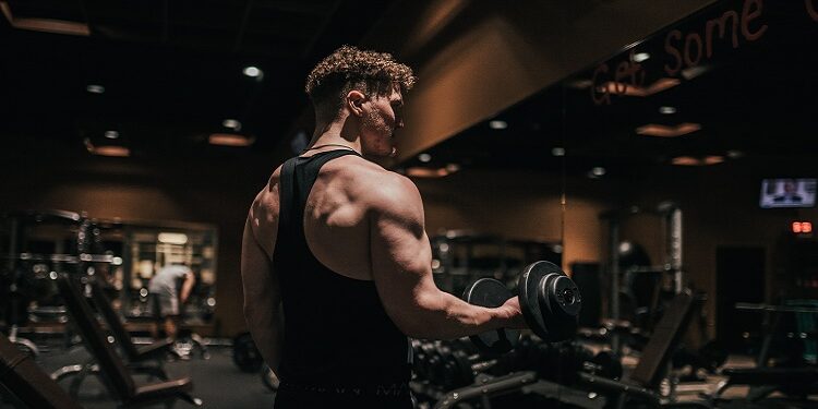 Bicep Workouts