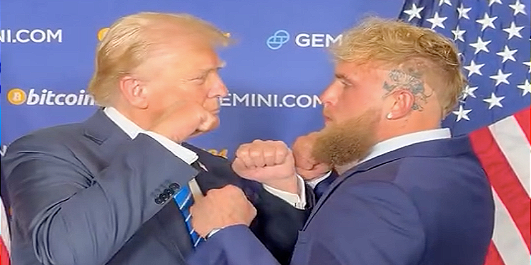 Donald Trump And Jake Paul Tease Fans with UFC Match Style Pose